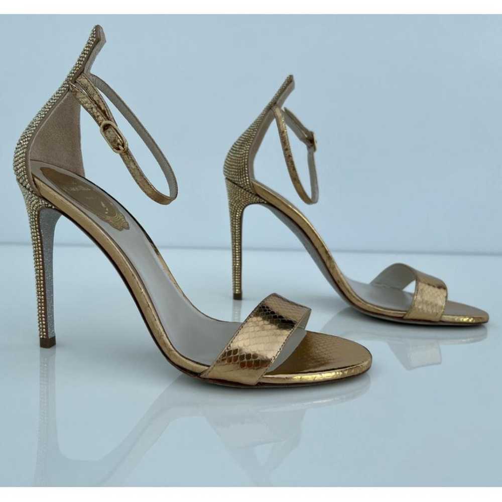 Rene Caovilla Python sandal - image 8