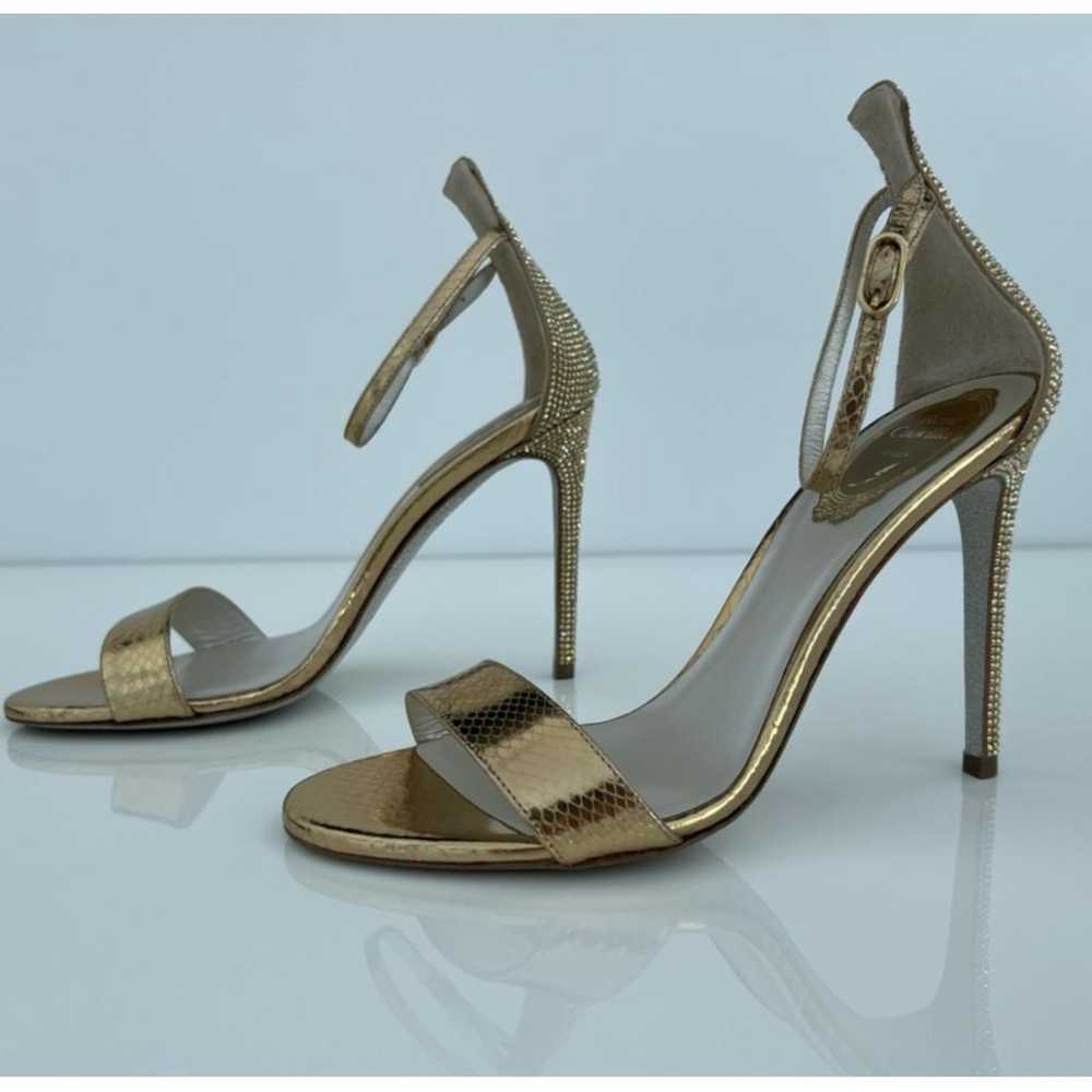 Rene Caovilla Python sandal - image 9