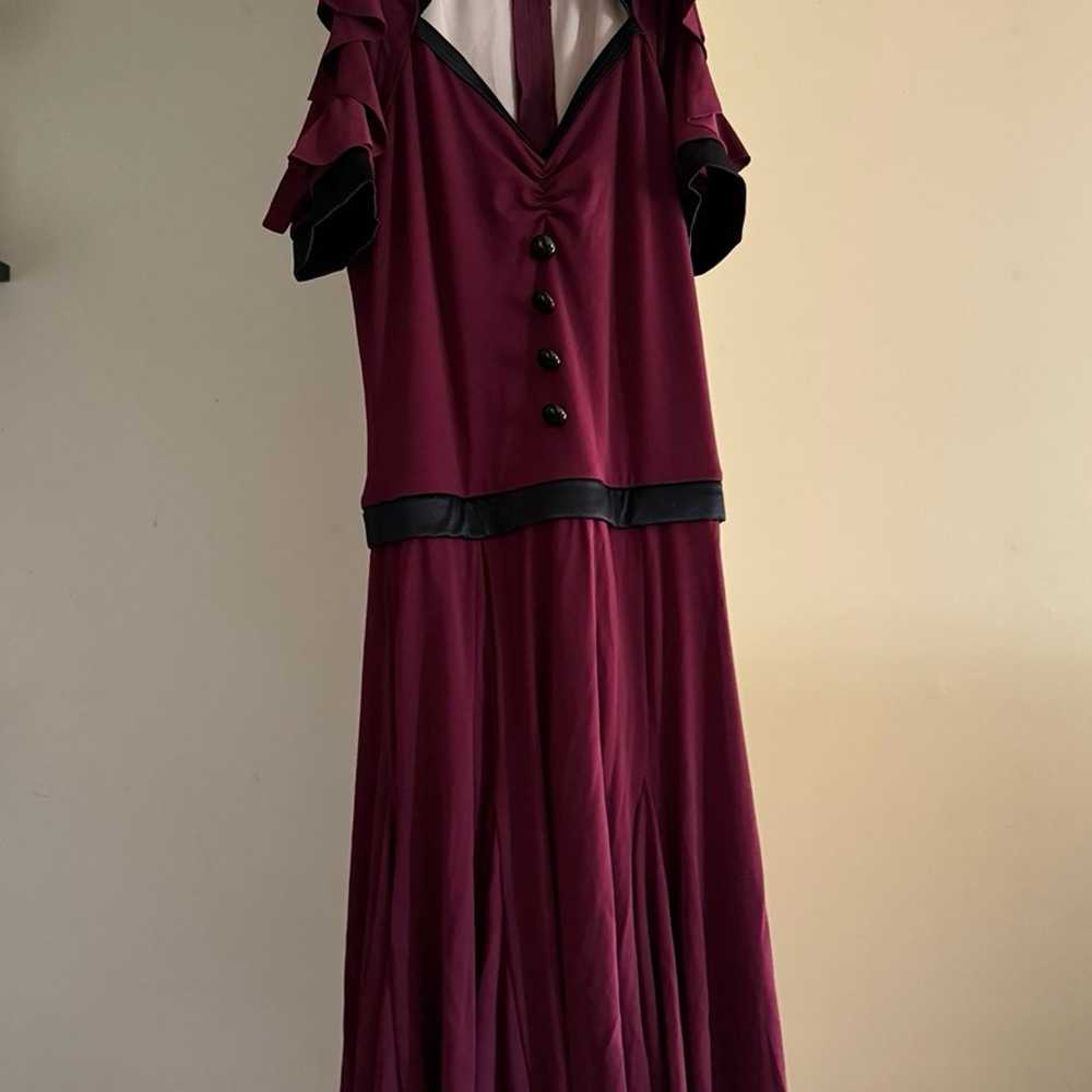 Weissman dance costume - image 1