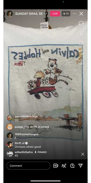 45 Calvin and Hobbes poster (secondhand)