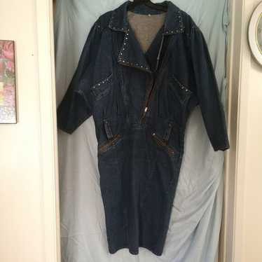 A Vintage Jean Dress - image 1