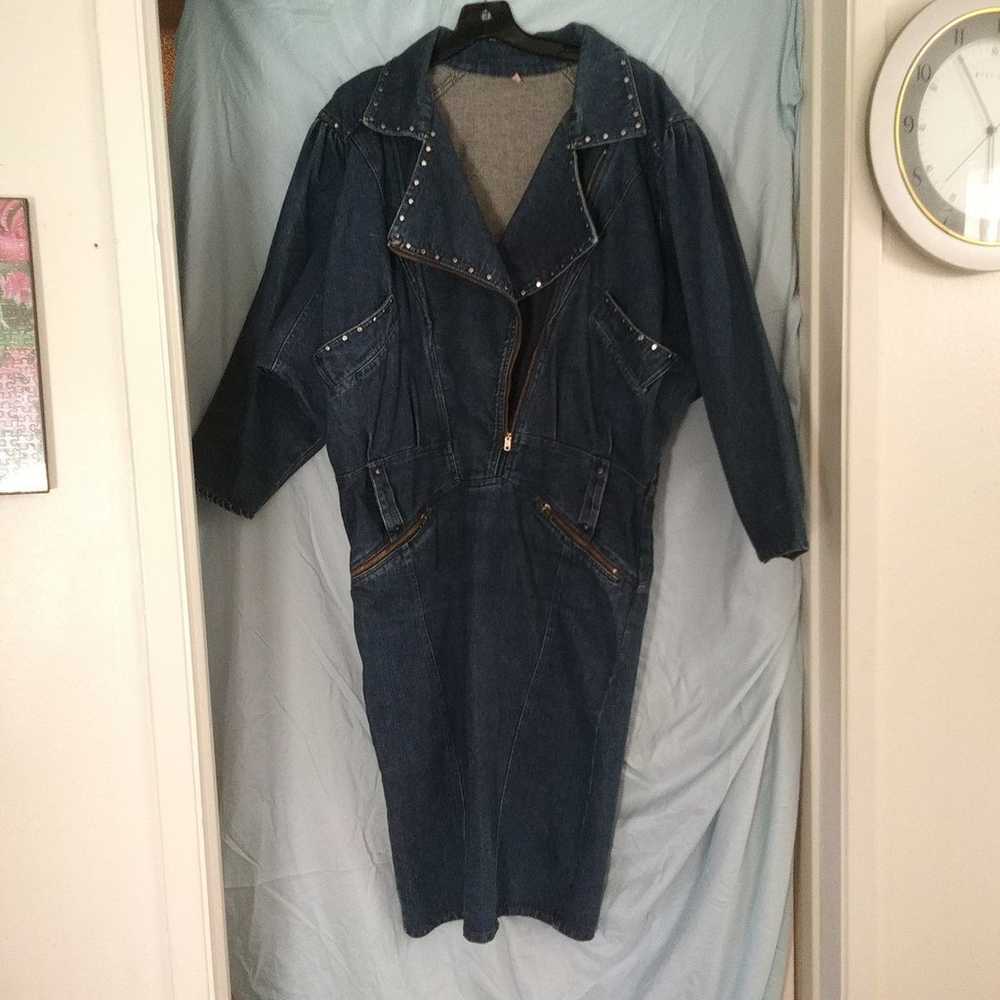 A Vintage Jean Dress - image 2