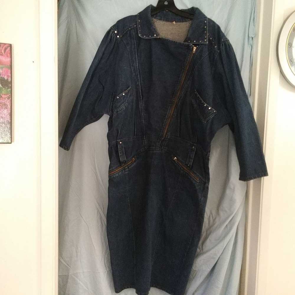 A Vintage Jean Dress - image 3