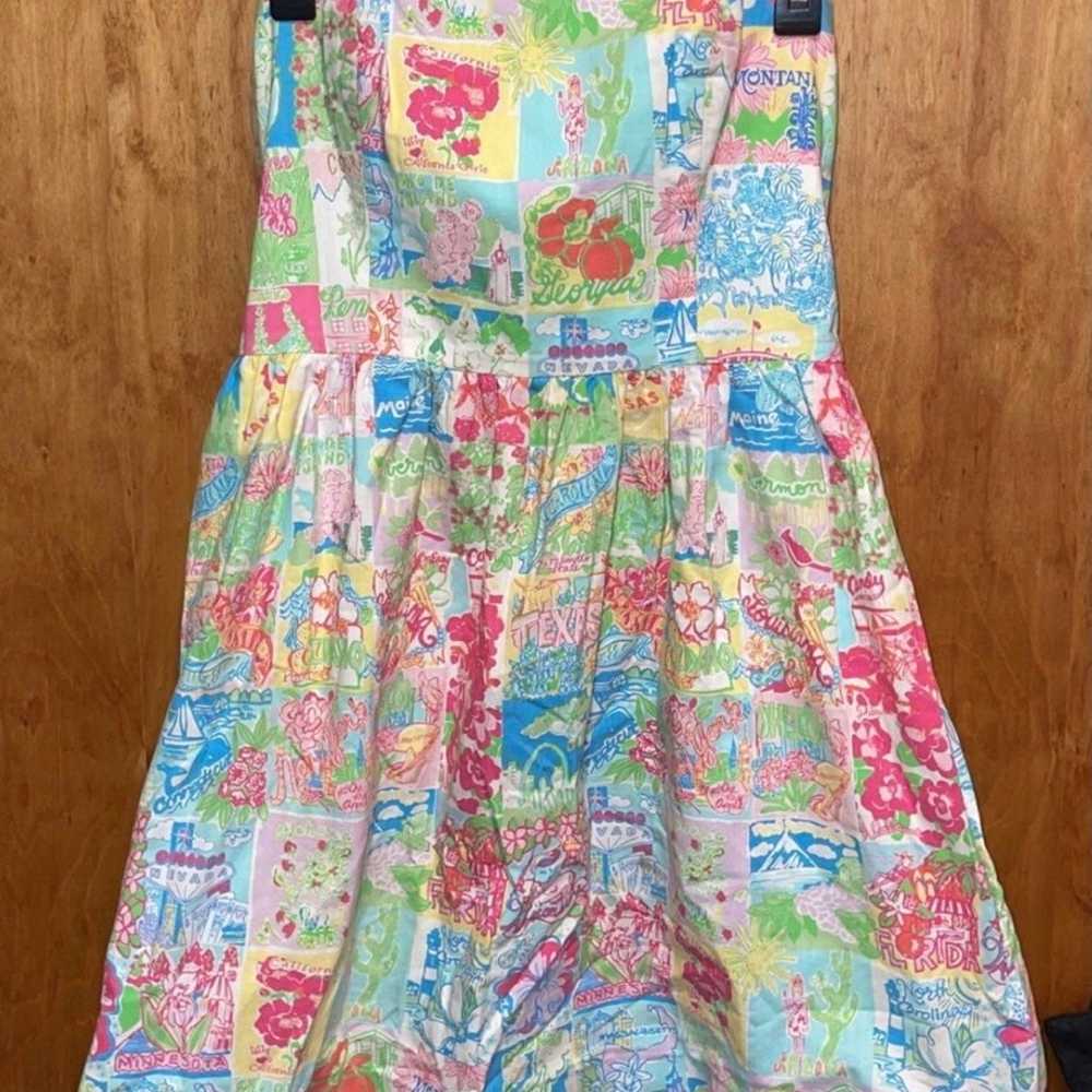 Vintage Lilly Pulitzer States Dress - image 1