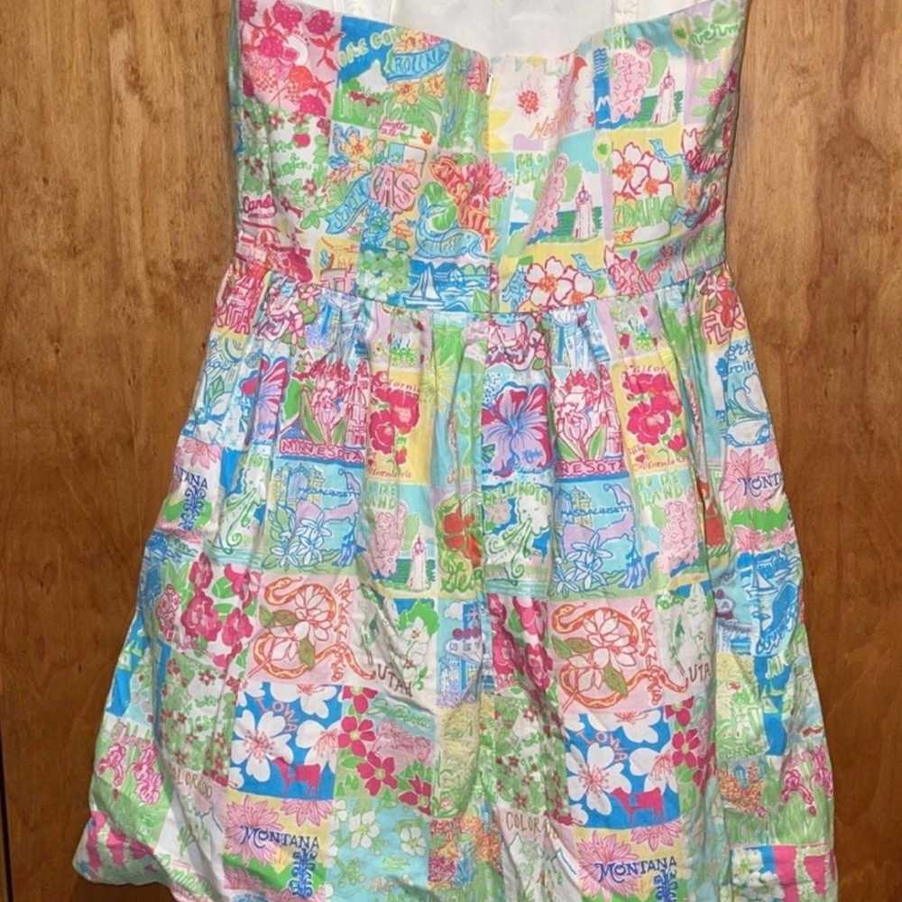 Vintage Lilly Pulitzer States Dress - image 4