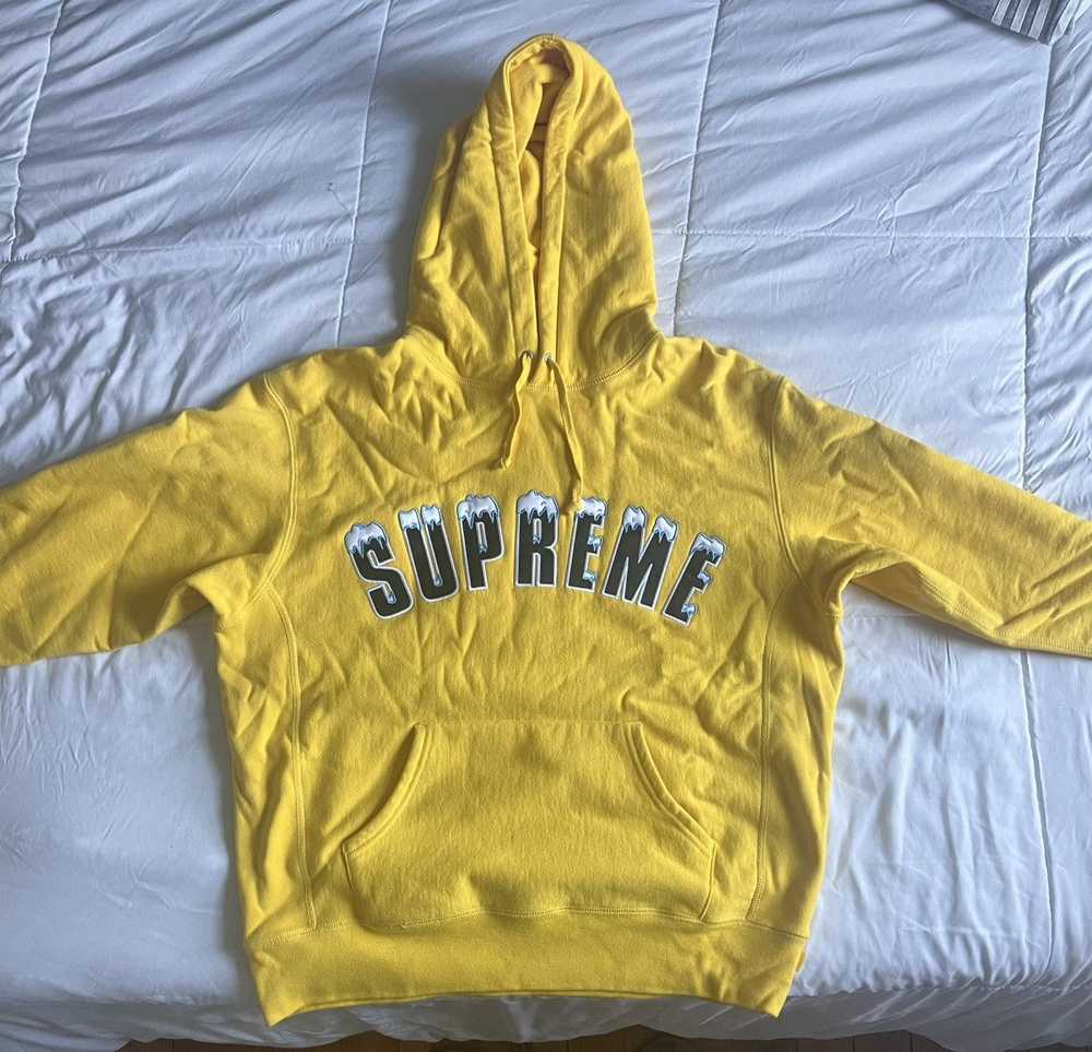 Supreme Supreme Icy Arc Hoodie - image 1