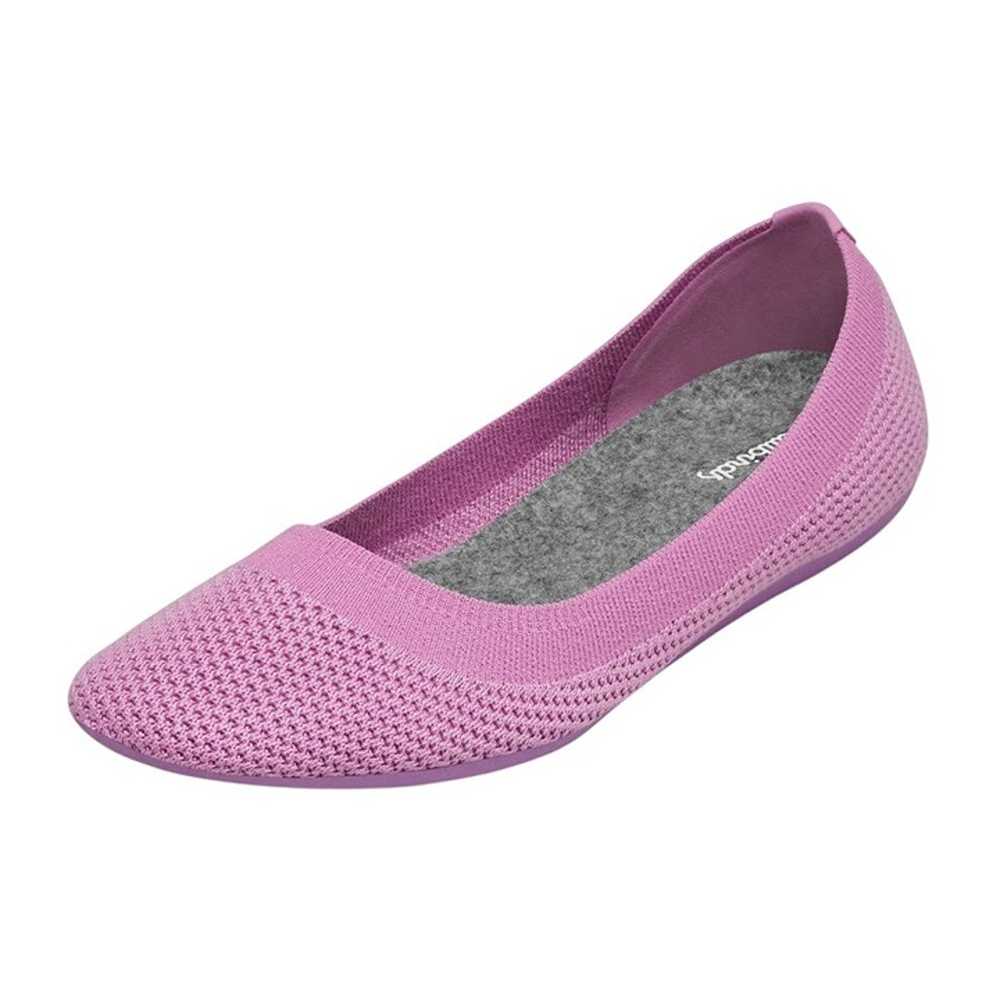 ALLBIRDS Tree Breezers Purple Flats Size 6.5 NEW … - image 1