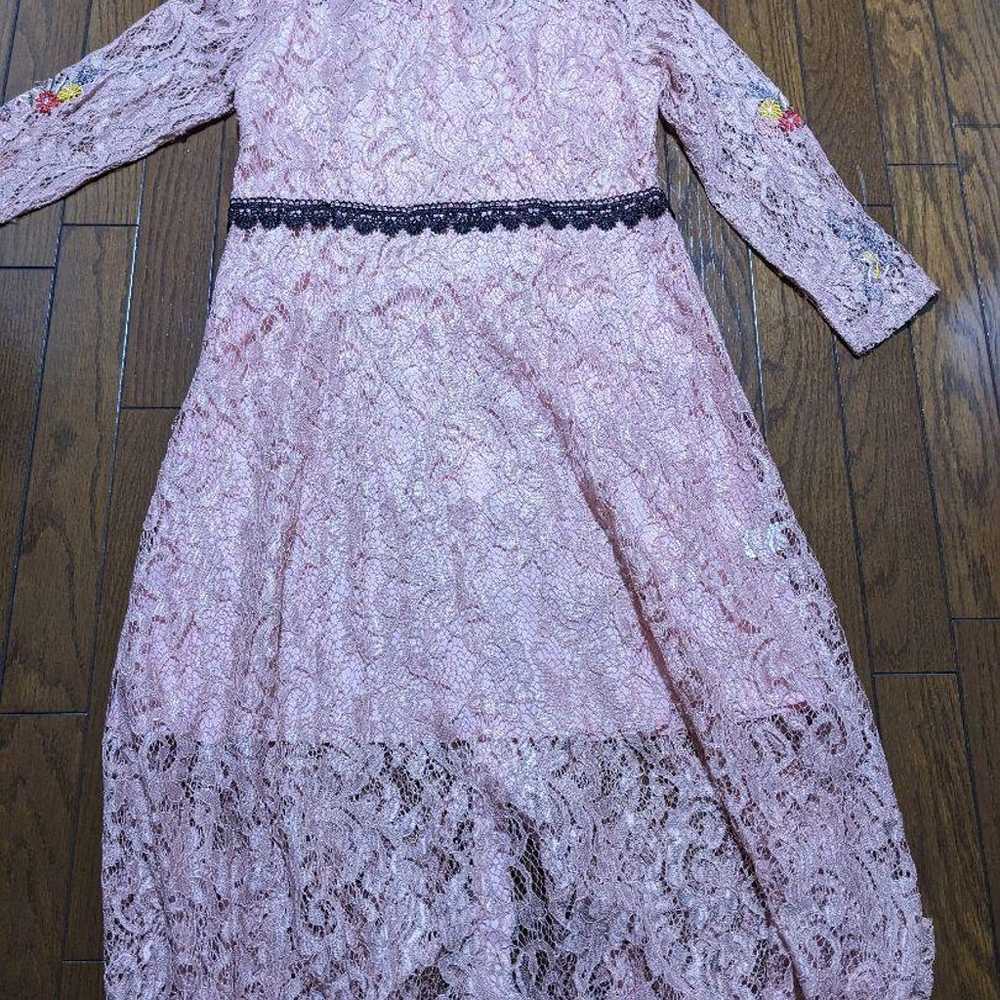 H.J.W Pink Lace Embroidered Long Dress - image 6