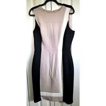 White House Black Market Dress Size 8 Sheath Color