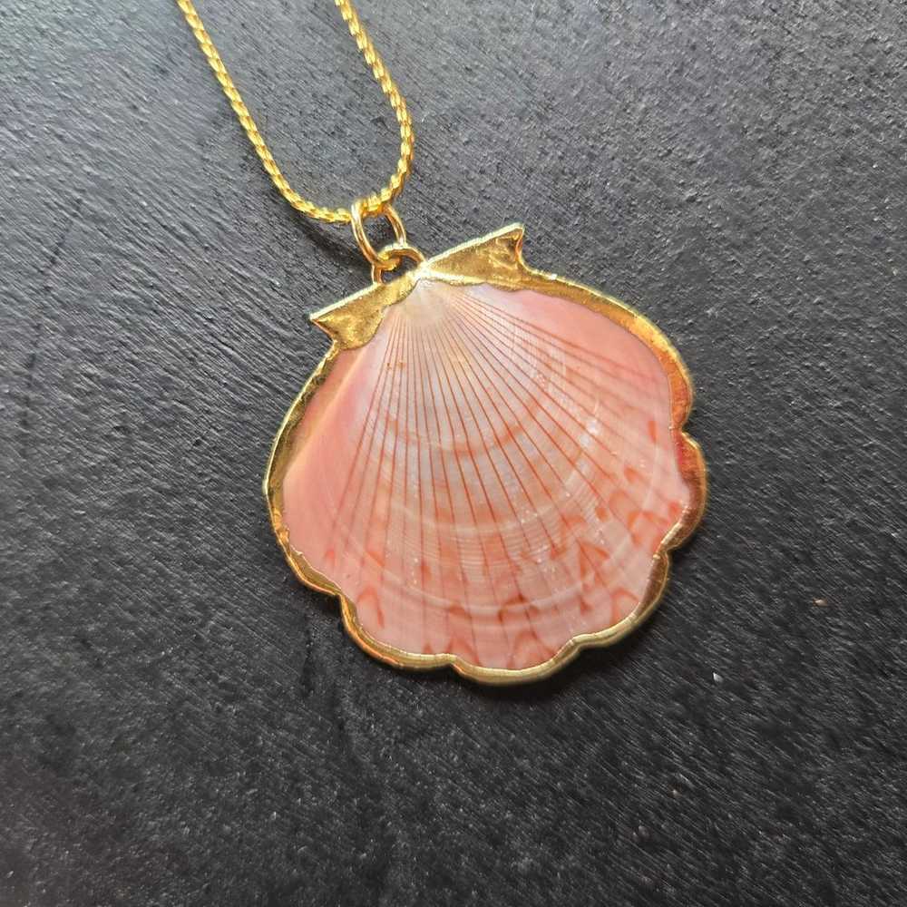 NWOT Pink Clamshell Necklace - image 1