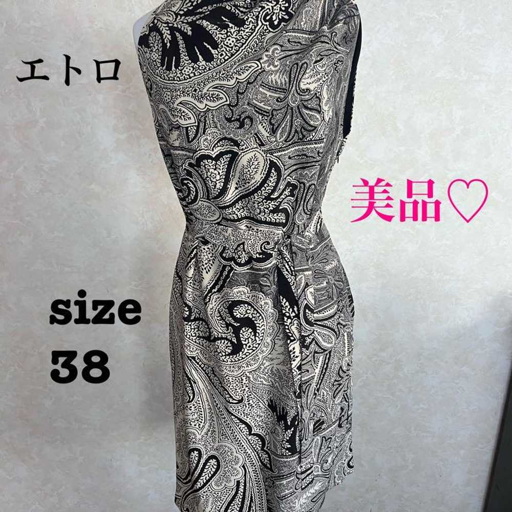 ETRO Dress (Size 38) ♡ Beautiful Condition, Silk,… - image 1