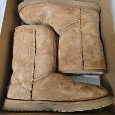 Ugg  Australia short classic