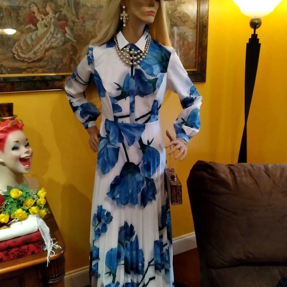 Gorgeous Annah Hariri Maxi Dress - image 6