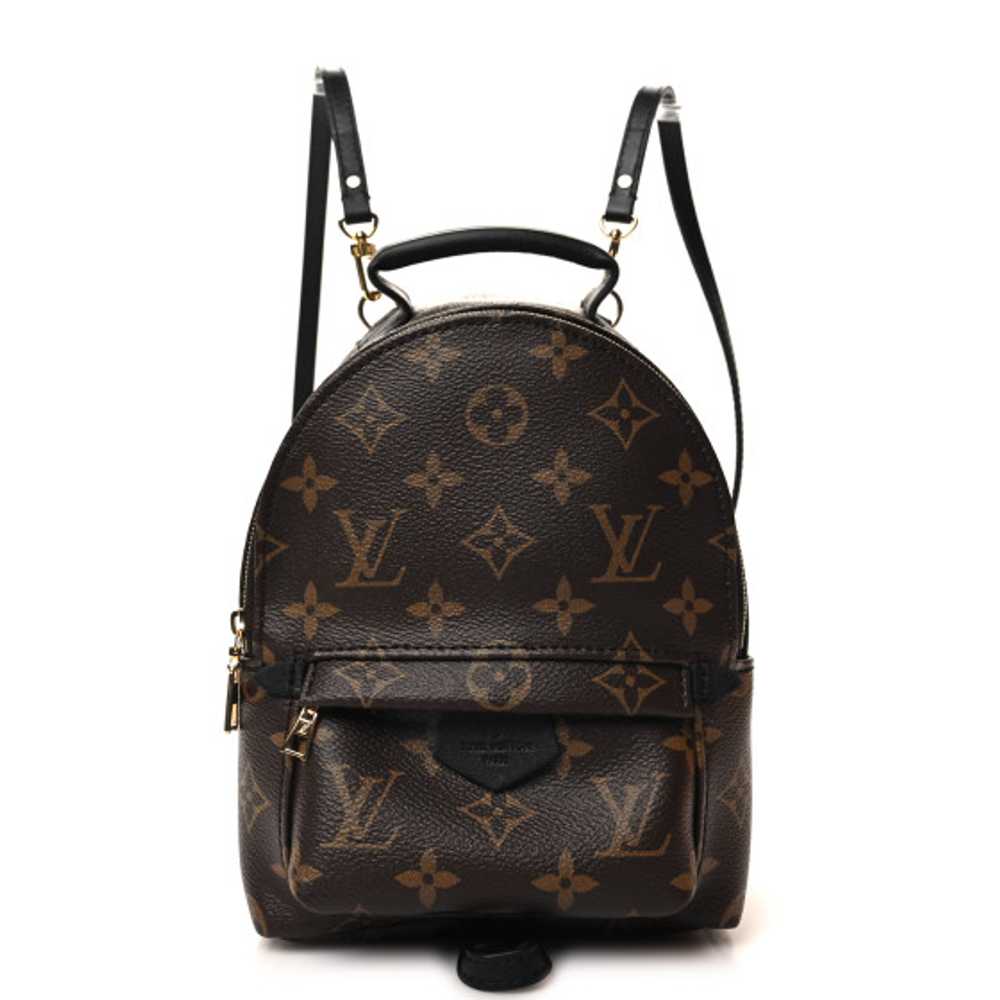 LOUIS VUITTON Monogram Palm Springs Backpack Mini - image 1