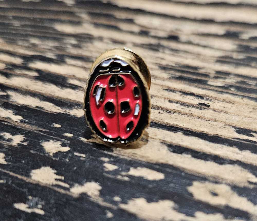 Supreme Supreme Ladybug Pin SS18 + FREE SURPRISE - image 1