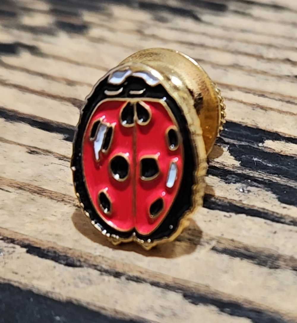 Supreme Supreme Ladybug Pin SS18 + FREE SURPRISE - image 2