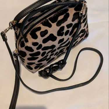 Gianni Chiarini Leopard - image 1