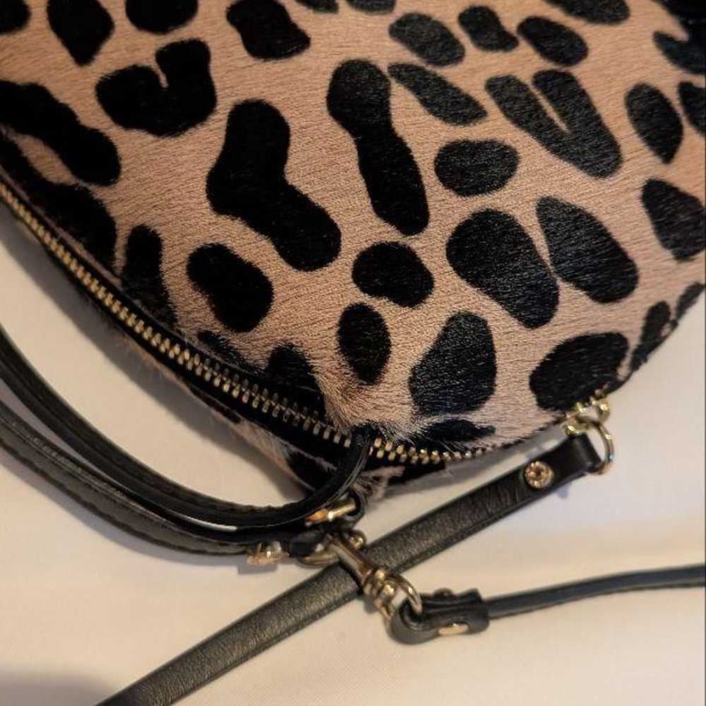 Gianni Chiarini Leopard - image 2