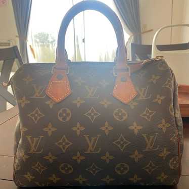 Louis Vuitton Speedy 25