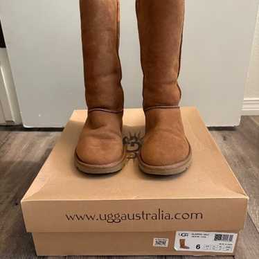 womens classic tall uggs size 6