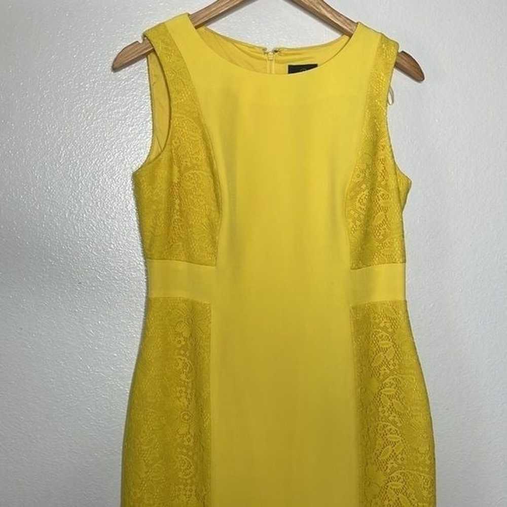 NWOT Adriana Papell Sleeveless Lace Detail Dress … - image 3