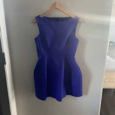 NWOT Zara Tulip Dress