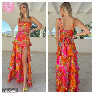 Stunning New Show Me Your Mumu Lady Corset Gown!