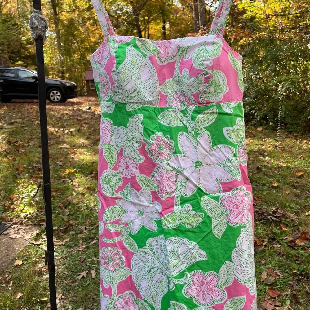 Lilly Pulitzer Dress - image 1