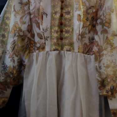 Old victorian western dress - image 1