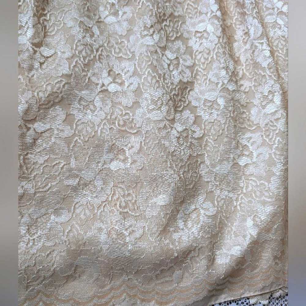 Vintage Cachet Lace Champagne Victorian Gown - image 4