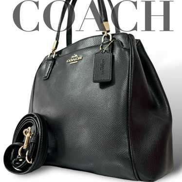 Coach Minetta Handbag Shoulder 2WAY Crossbody Char