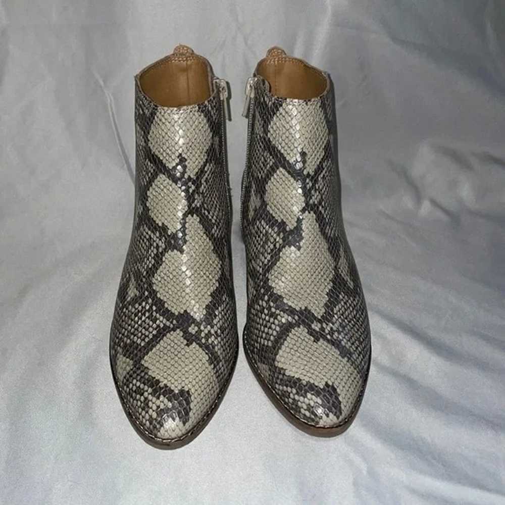 Size 7 Women’s Lucky Brand Snake Skin Design Ankl… - image 1