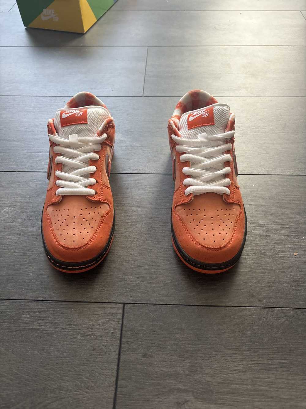 Nike Nike SB DUNK ‘Orange Lobster’ - image 4