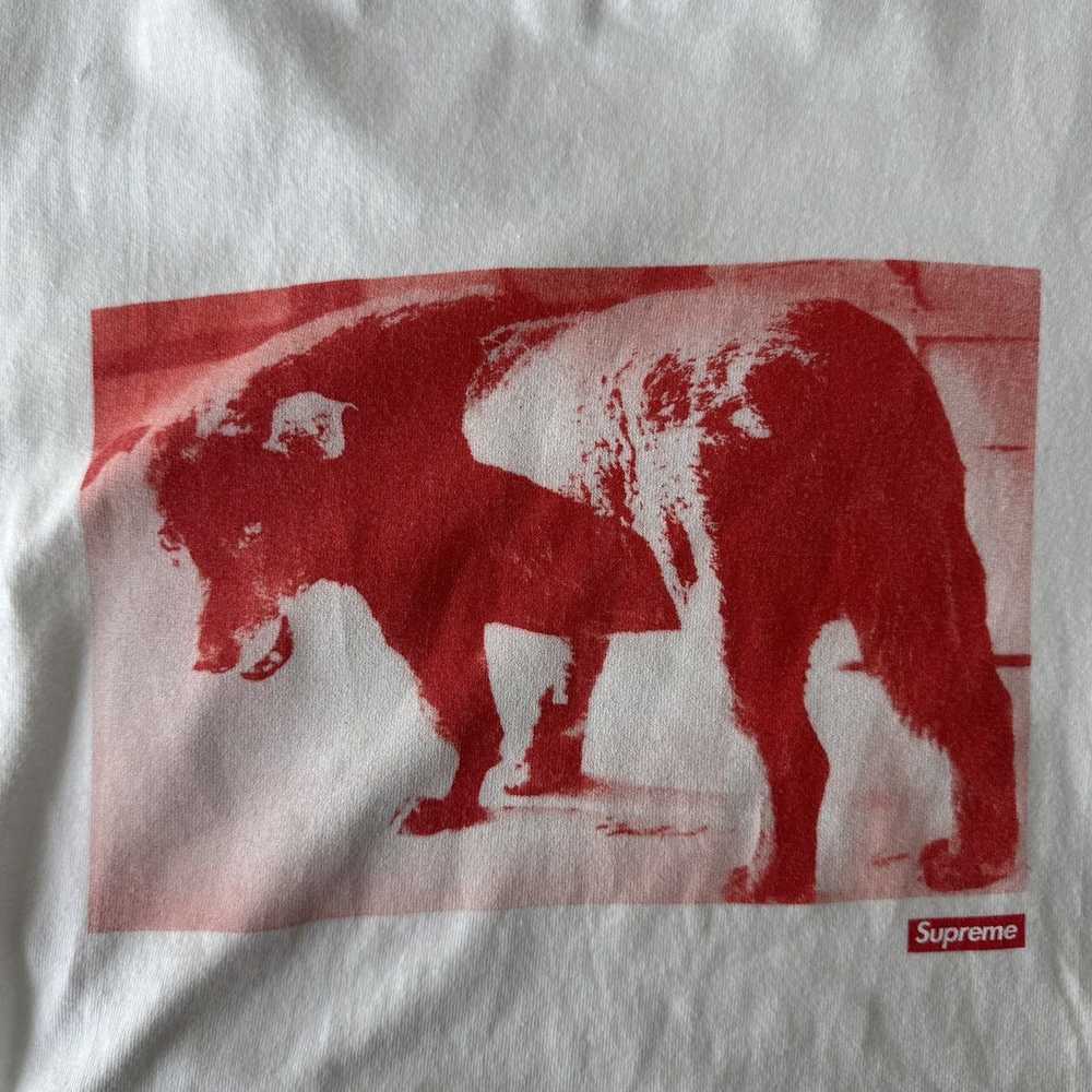 Streetwear × Supreme Supreme Daido Moriyama Dog T… - image 2