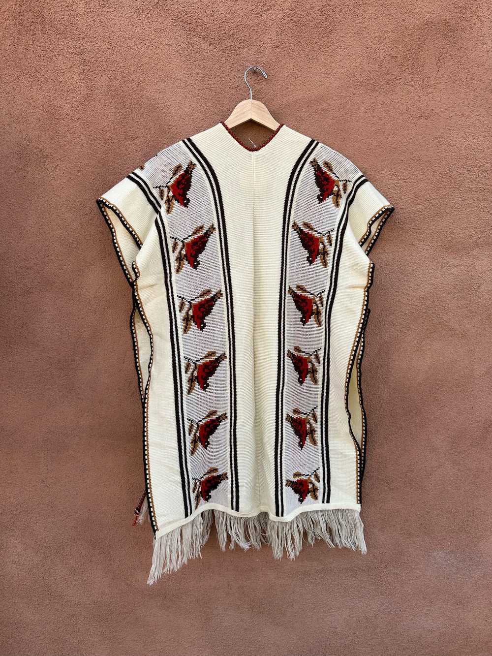 1970's Acrylic Bird Poncho with Fringe - image 3