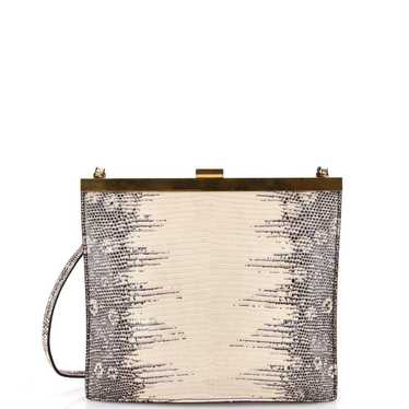 Celine Exotic leathers crossbody bag - image 1