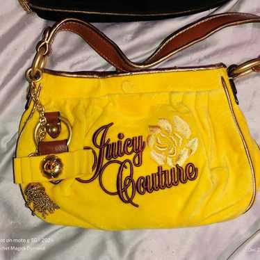 Juicy Couture Vintage velour purse