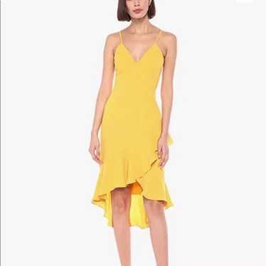 Dress the Population Wendy Ruffle Hem Dress