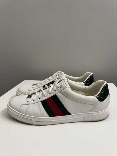 Gucci GUCCI ACE SNEAKER WITH WEB (sz 13)