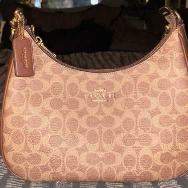 Coach Teri Hobo Shoulder Bag