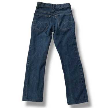 Vintage 70s levis 646-0217 - Gem