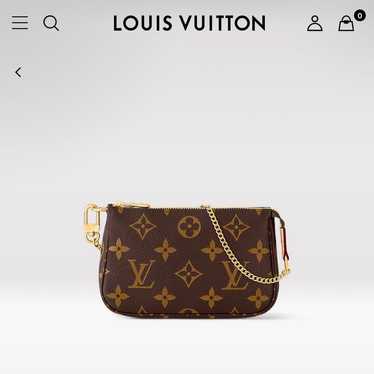 LOUIS VUITTON Accessory Pouch Accessories Soirée