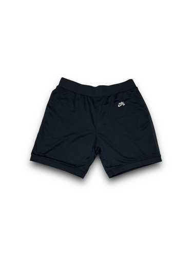 Nike × Streetwear Nike SB dri-fit mesh shorts