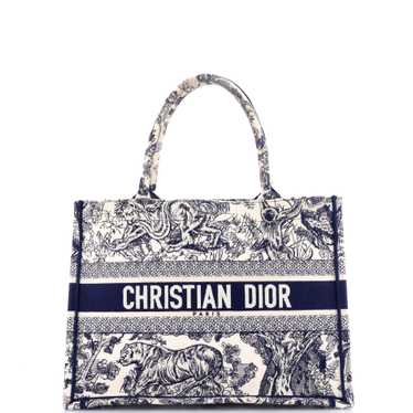 Christian Dior Book Tote Embroidered Canvas Medium