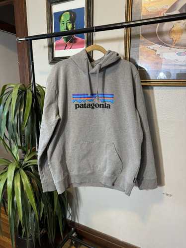 Patagonia Patagonia Hoodie