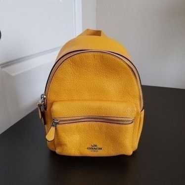 Coach Leather Mini Backpack