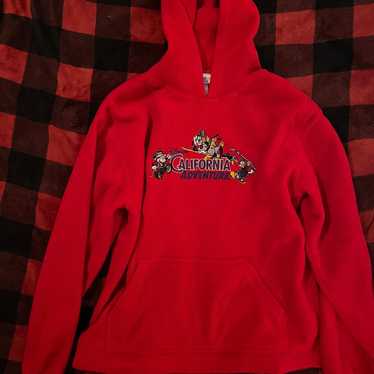 Vintage Disney land parks hoodie