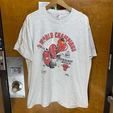 Vintage 1993 chicago bulls - Gem
