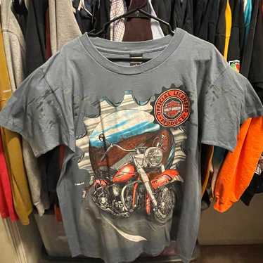 Vintage Harley Davidson Shirt