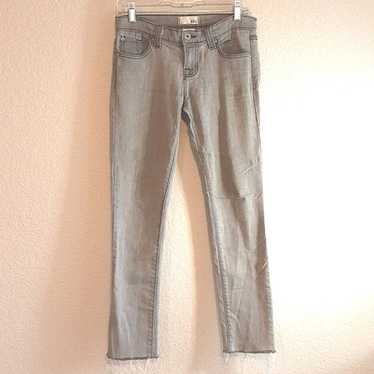 BDG Anthropologie Vintage Y2K Tag Gray Denim Raw H